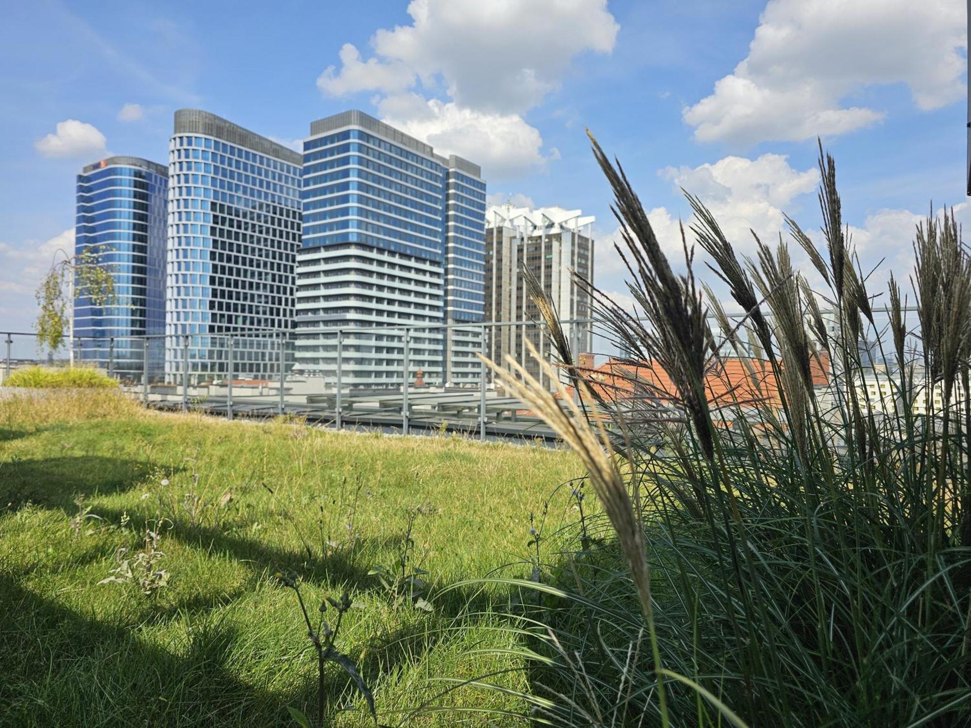 Urban Apartments Premium, Opolska 10 No 77A, Free Garage, Self Check-In Katowice Extérieur photo